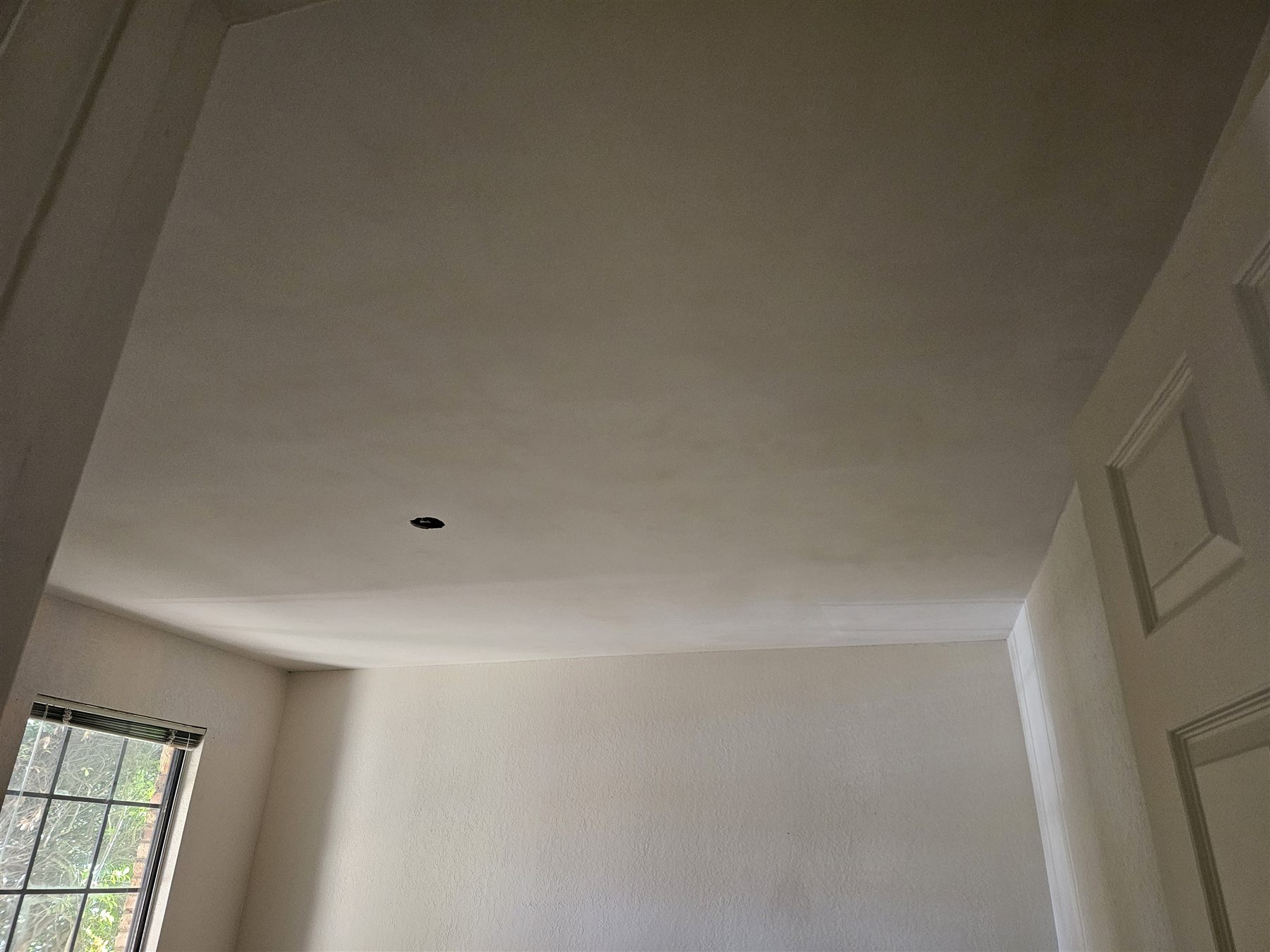 Professional ceiling tile installation for residential and commercial properties in DFW